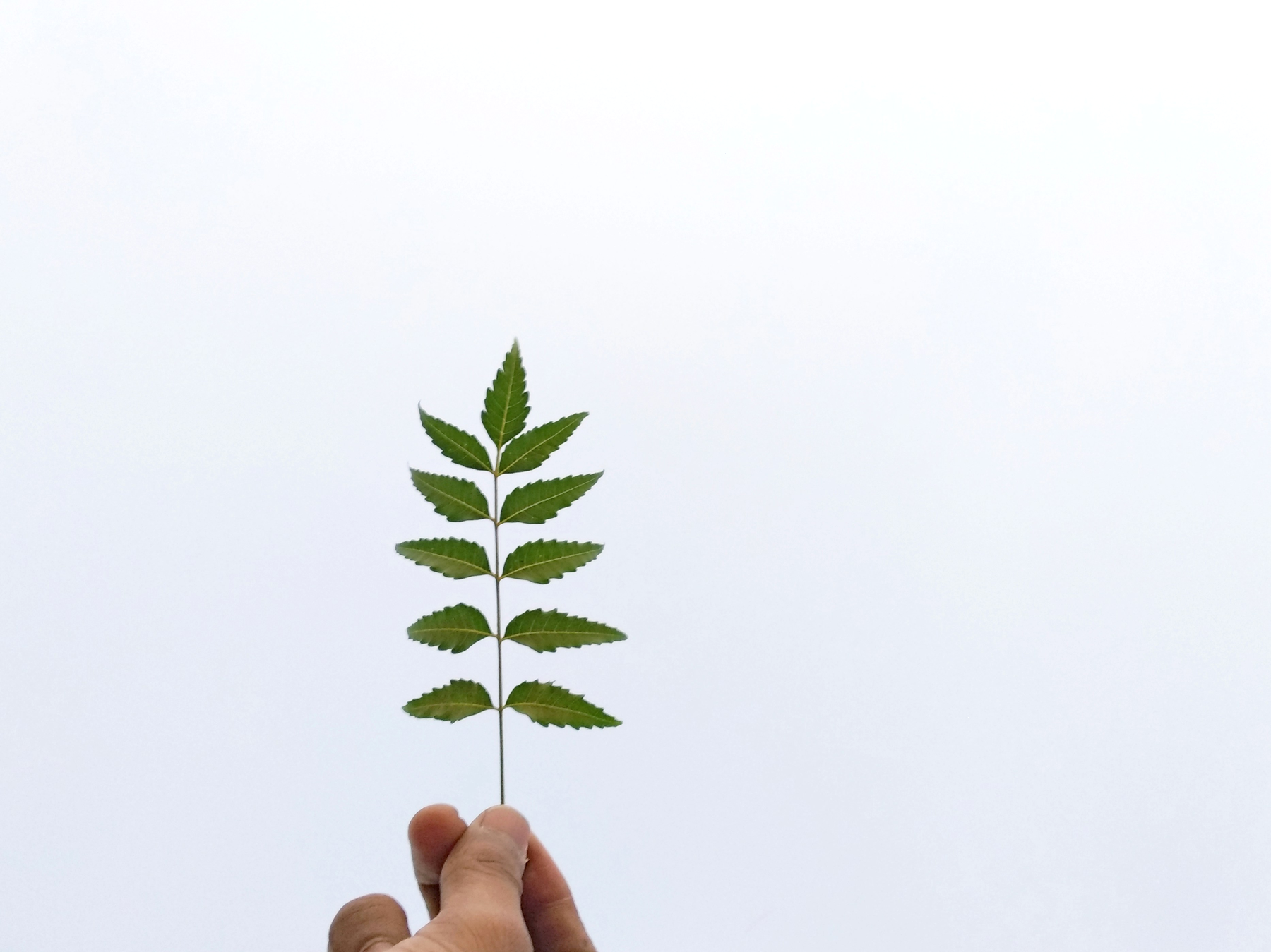 financial team analysis, cash management scenario, treasury controls, interactive workshop, mid-sized company